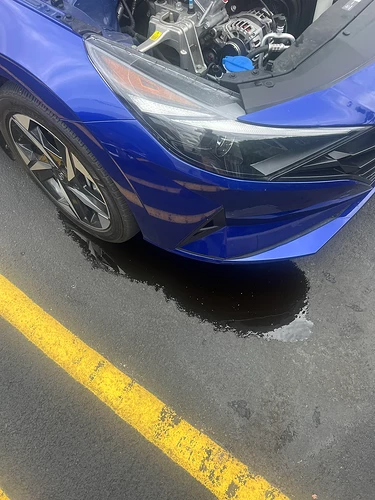 dealership change oil